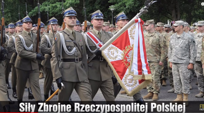 Polish Armed Forces – How Strong Are They?