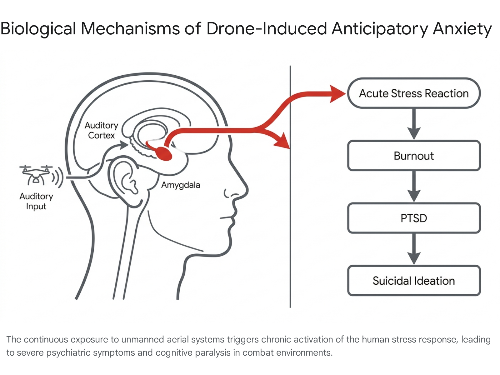 Biological mechanisms of drone-induced anticipatory anxiety: auditory cortex, amygdala, acute stress, burnout, PTSD, suicidal ideation.