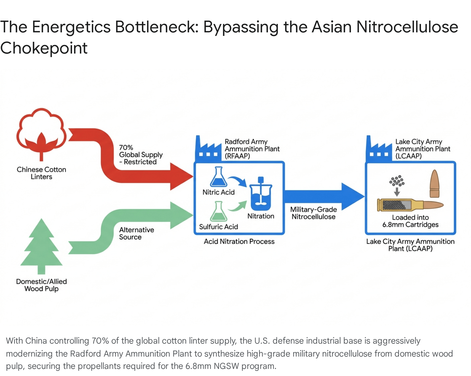Diagram illustrating the effects of biotic bottleneck